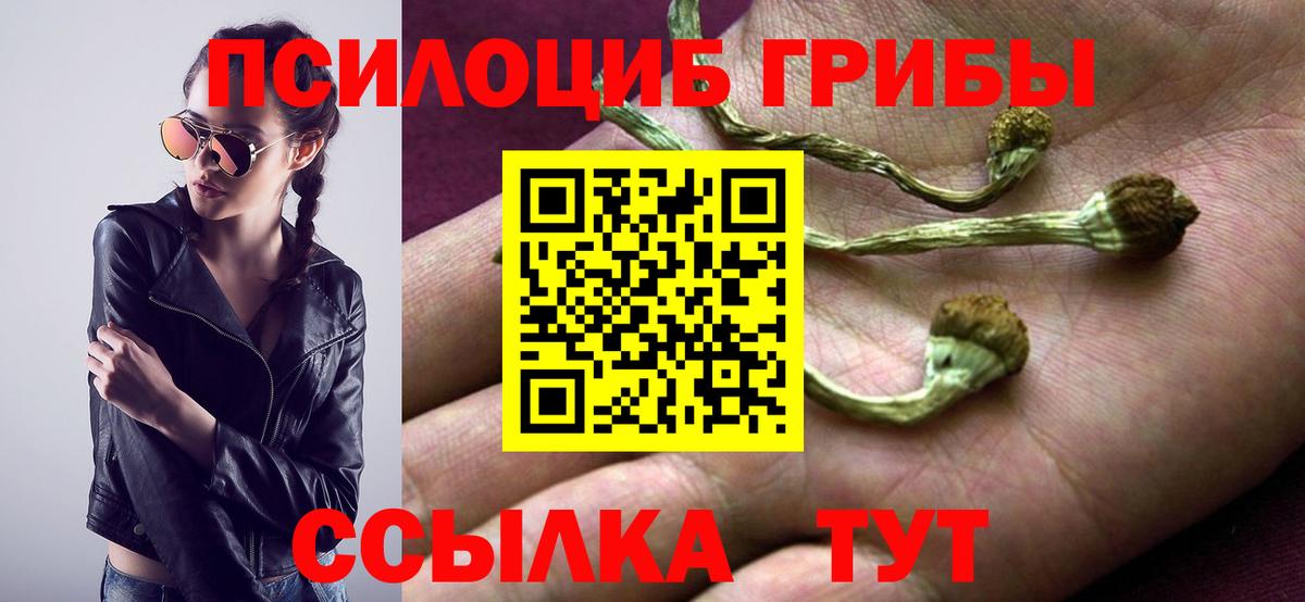 Галлюциногенные грибы Cubensis Реутов